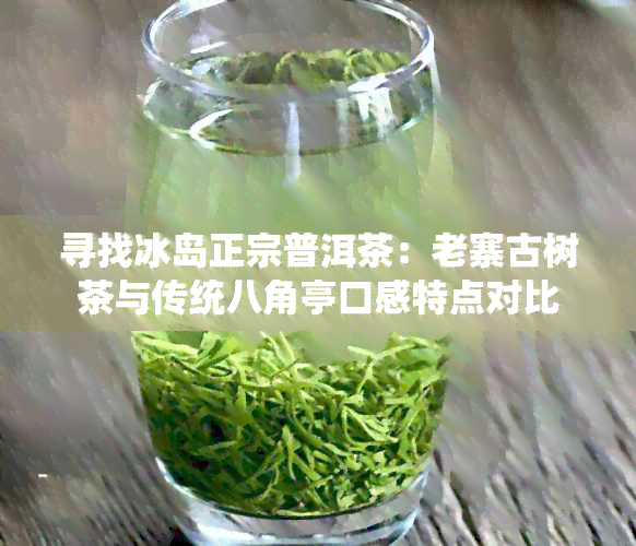 寻找冰岛正宗普洱茶：老寨古树茶与传统八角亭口感特点对比