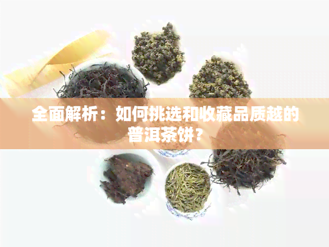 全面解析：如何挑选和收藏品质越的普洱茶饼？