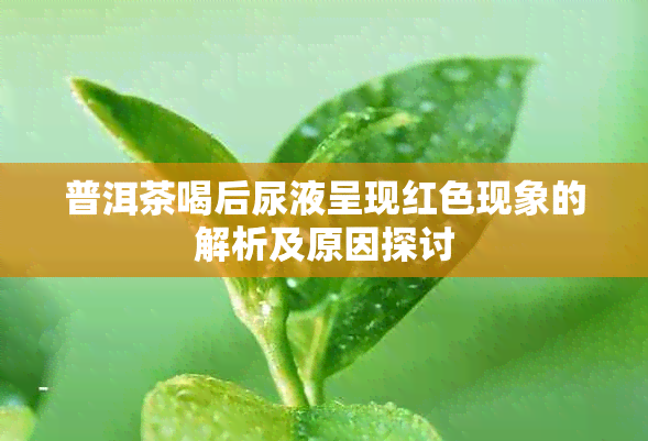 普洱茶喝后尿液呈现红色现象的解析及原因探讨