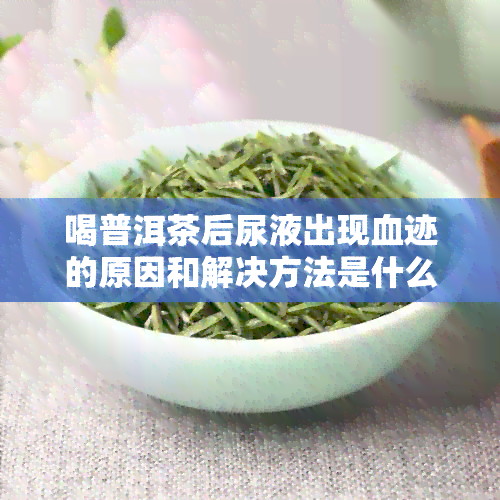 喝普洱茶后尿液出现血迹的原因和解决方法是什么？