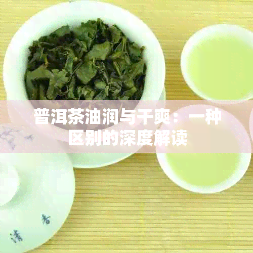 普洱茶油润与干爽：一种区别的深度解读