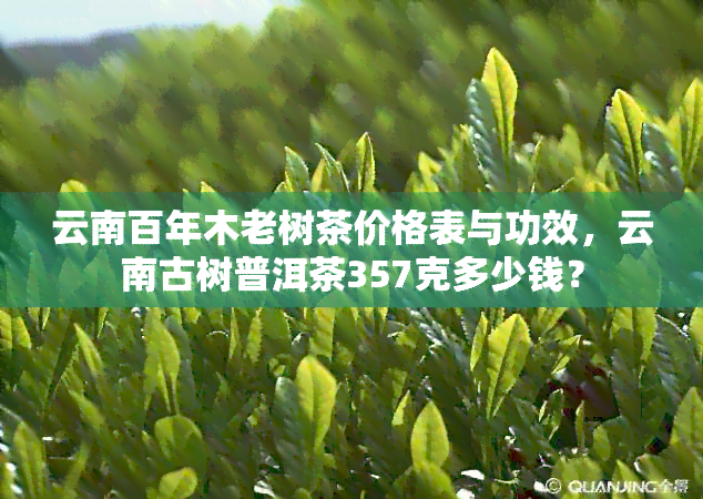 云南百年木老树茶价格表与功效，云南古树普洱茶357克多少钱？