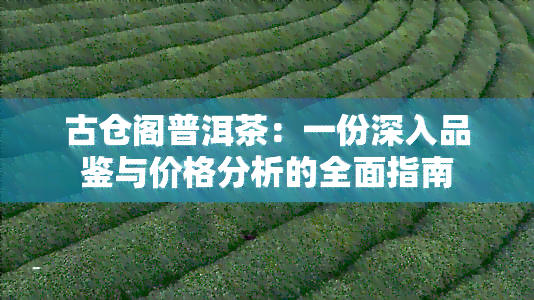 古仓阁普洱茶：一份深入品鉴与价格分析的全面指南