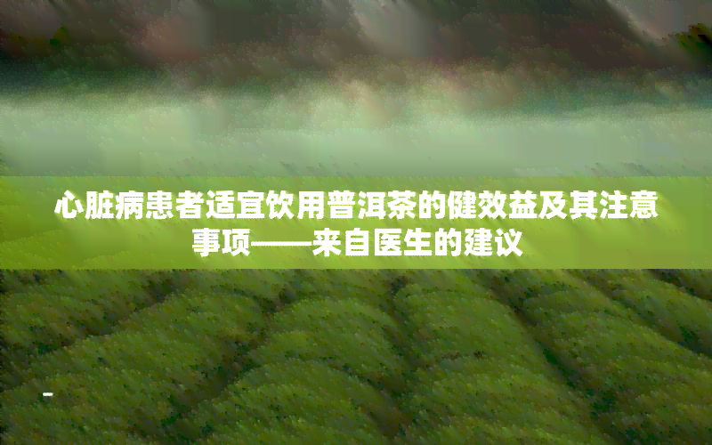 心脏病患者适宜饮用普洱茶的健效益及其注意事项——来自医生的建议