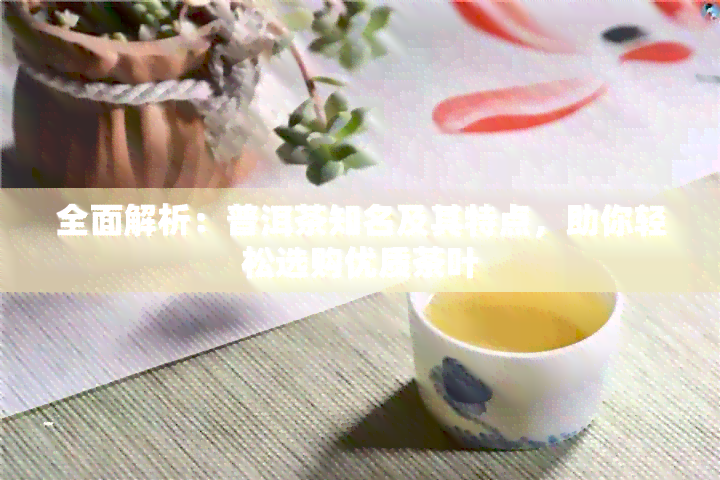 全面解析：普洱茶知名及其特点，助你轻松选购优质茶叶