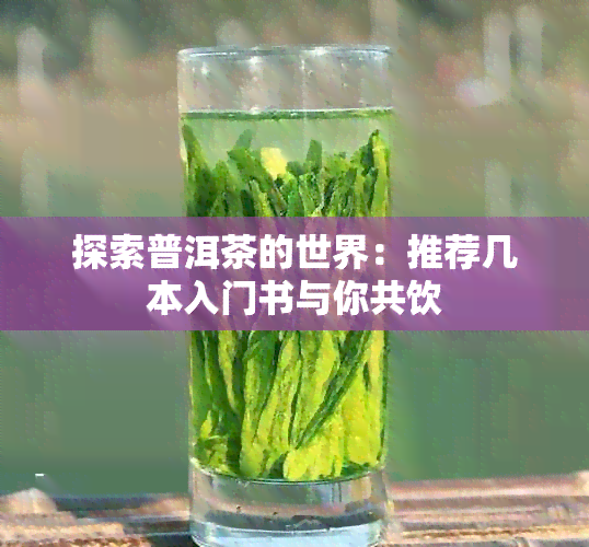 探索普洱茶的世界：推荐几本入门书与你共饮