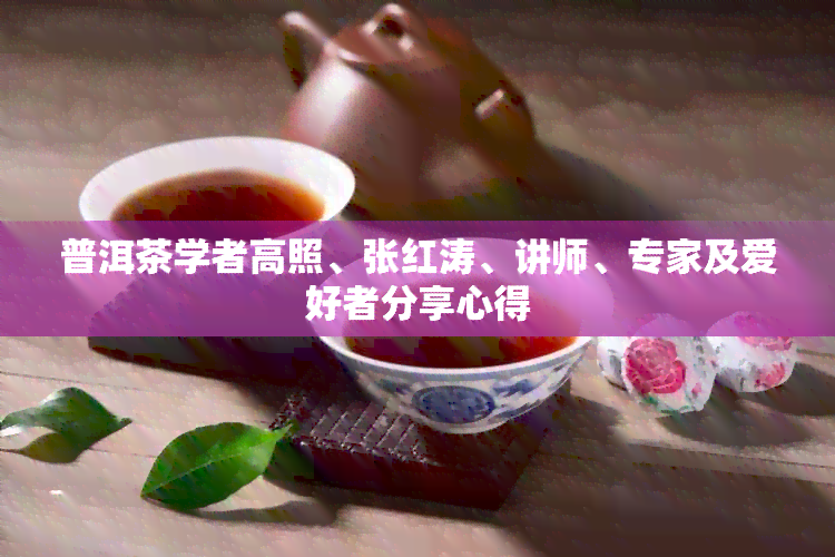 普洱茶学者高照、张红涛、讲师、专家及爱好者分享心得