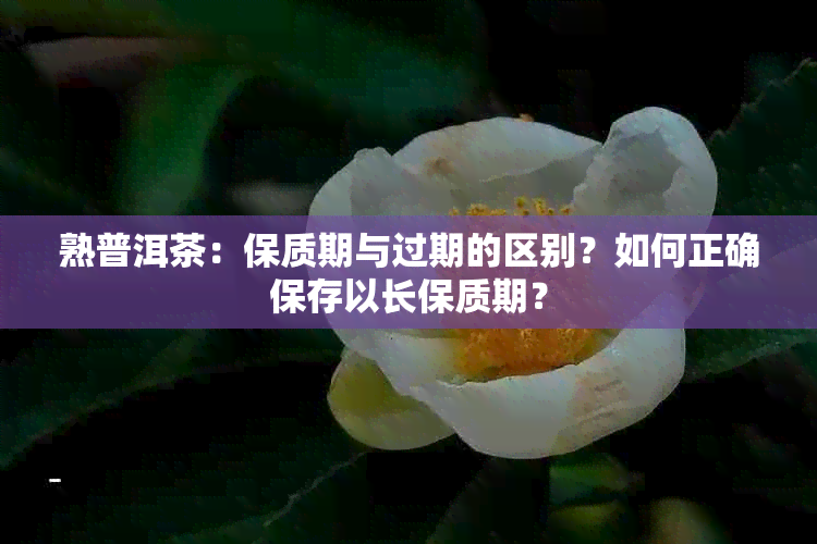 熟普洱茶：保质期与过期的区别？如何正确保存以长保质期？