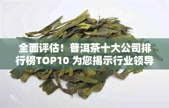 全面评估！普洱茶十大公司排行榜TOP10 为您揭示行业领导者和潜力黑马