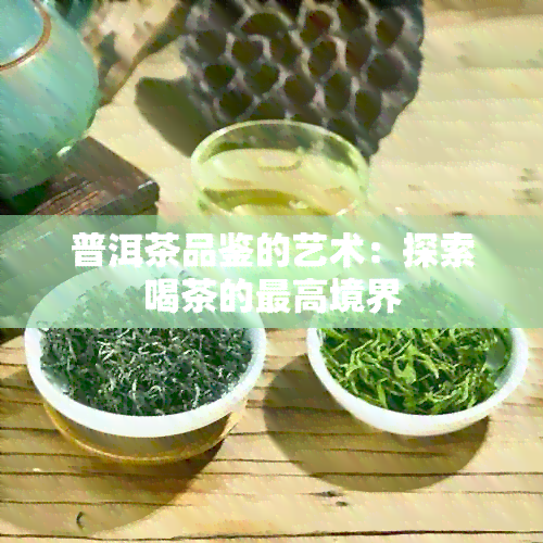 普洱茶品鉴的艺术：探索喝茶的更高境界