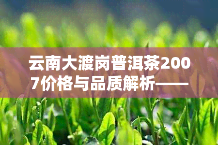 云南大渡岗普洱茶2007价格与品质解析——云南大渡岗茶叶实业总公司