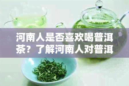 河南人是否喜欢喝普洱茶？了解河南人对普洱茶的喜好及相关理由