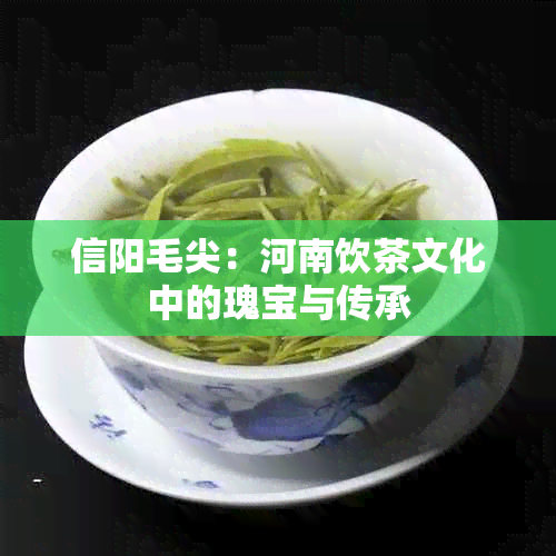 信阳毛尖：河南饮茶文化中的瑰宝与传承