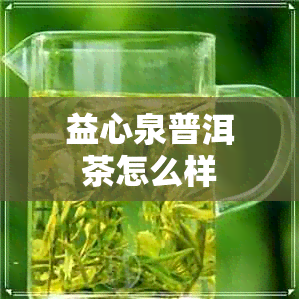 益心泉普洱茶怎么样