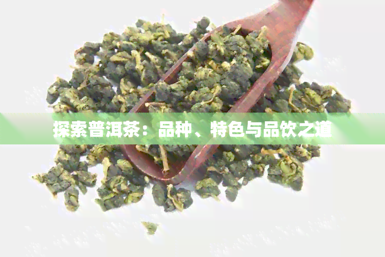 探索普洱茶：品种、特色与品饮之道