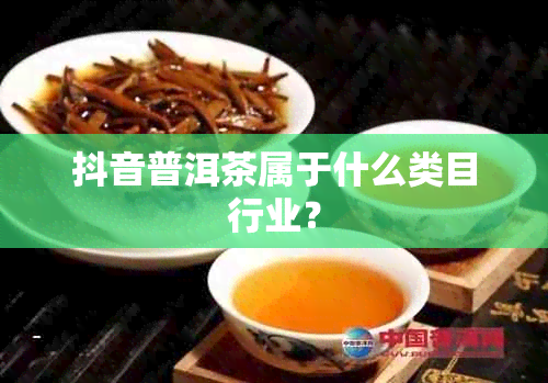 抖音普洱茶属于什么类目行业？