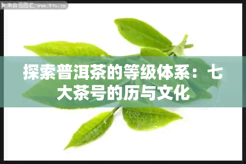 探索普洱茶的等级体系：七大茶号的历与文化