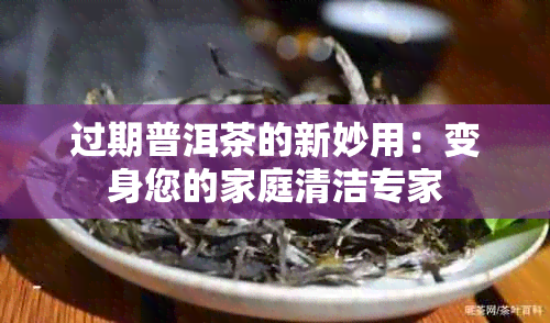 过期普洱茶的新妙用：变身您的家庭清洁专家