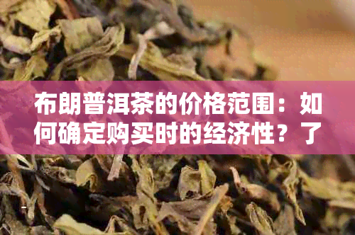 布朗普洱茶的价格范围：如何确定购买时的经济性？了解市场行情与价格差异