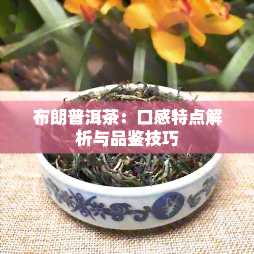 布朗普洱茶：口感特点解析与品鉴技巧