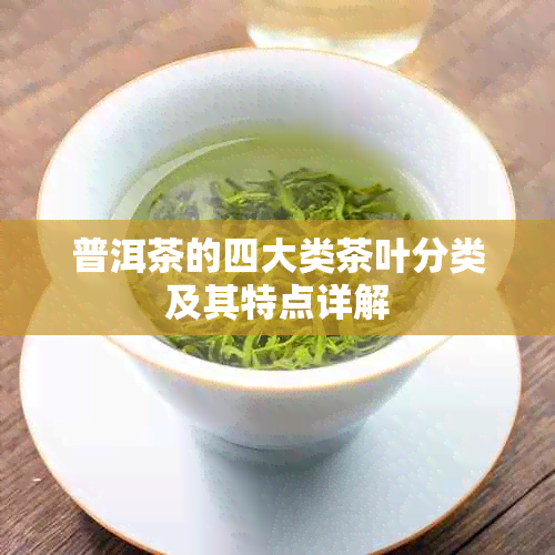 普洱茶的四大类茶叶分类及其特点详解