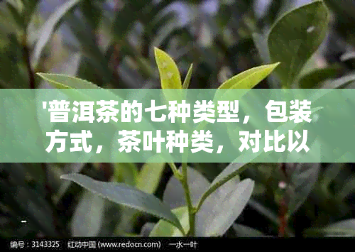 '普洱茶的七种类型，包装方式，茶叶种类，对比以及口味分类'