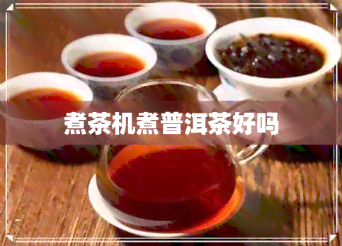 煮茶机煮普洱茶好吗