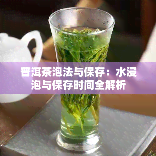 普洱茶泡法与保存：水浸泡与保存时间全解析