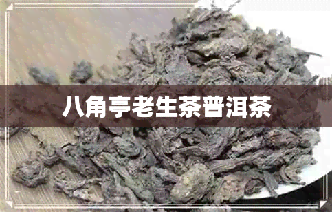 八角亭老生茶普洱茶