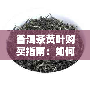 普洱茶黄叶购买指南：如何挑选优质的黄金叶普洱茶？