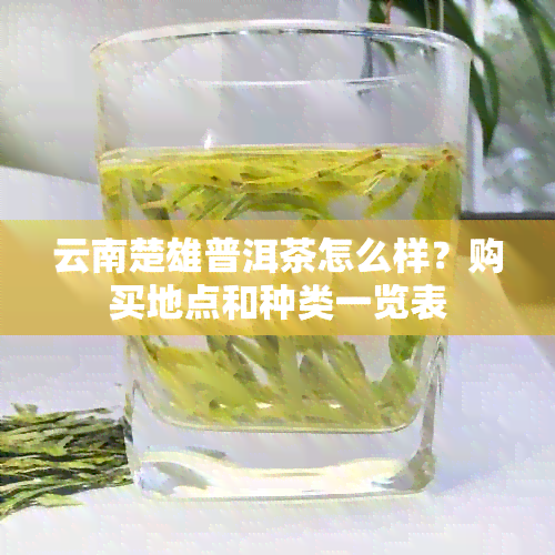 云南楚雄普洱茶怎么样？购买地点和种类一览表