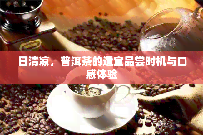 日清凉，普洱茶的适宜品尝时机与口感体验