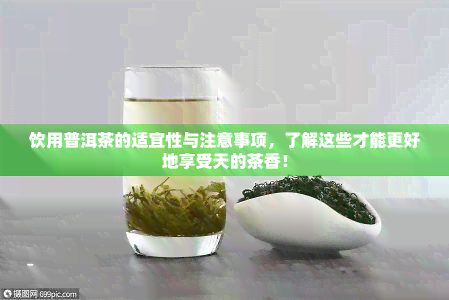 饮用普洱茶的适宜性与注意事项，了解这些才能更好地享受天的茶香！