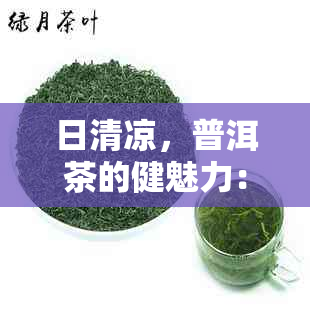 日清凉，普洱茶的健魅力：一场与医生的对话