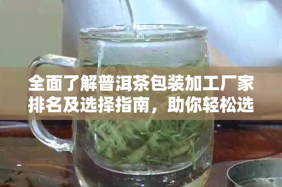 全面了解普洱茶包装加工厂家排名及选择指南，助你轻松选购优质产品