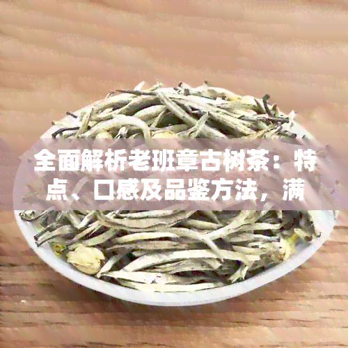 全面解析老班章古树茶：特点、口感及品鉴方法，满足用户关于茶叶的所有疑问