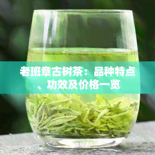 老班章古树茶：品种特点、功效及价格一览