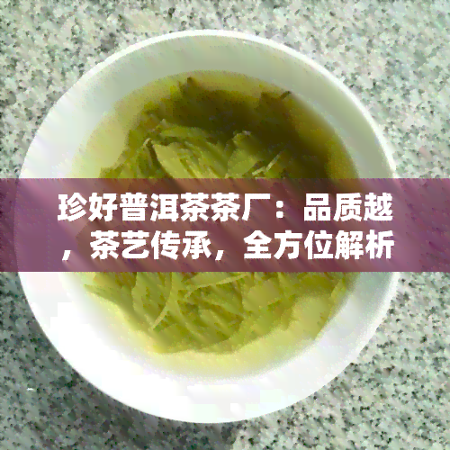 珍好普洱茶茶厂：品质越，茶艺传承，全方位解析普洱茶的魅力与选购技巧