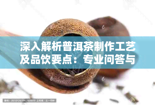 深入解析普洱茶制作工艺及品饮要点：专业问答与实践指南