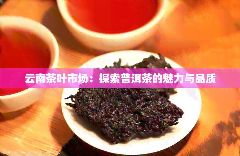 云南茶叶市场：探索普洱茶的魅力与品质