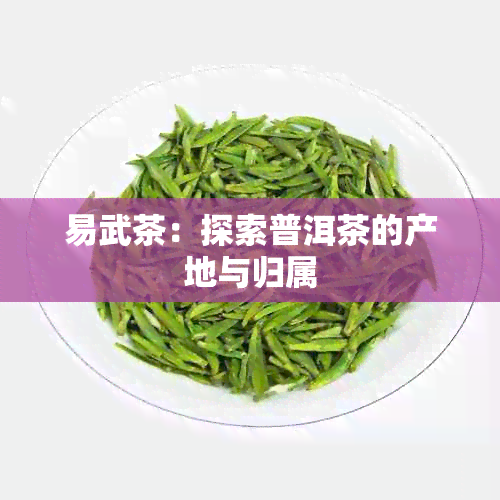 易武茶：探索普洱茶的产地与归属