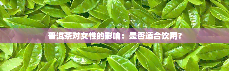 普洱茶对女性的影响：是否适合饮用？