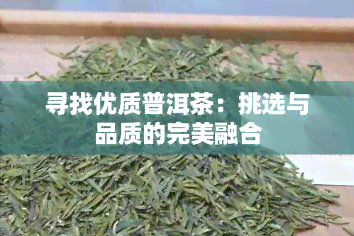 寻找优质普洱茶：挑选与品质的完美融合