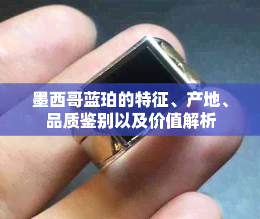 墨西哥蓝珀的特征、产地、品质鉴别以及价值解析