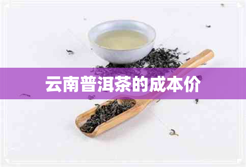 云南普洱茶的成本价