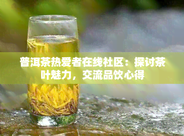 普洱茶热爱者在线社区：探讨茶叶魅力，交流品饮心得