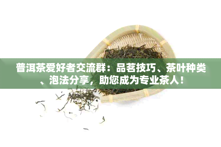 普洱茶爱好者交流群：品茗技巧、茶叶种类、泡法分享，助您成为专业茶人！