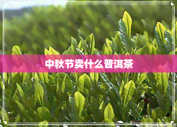 中秋节卖什么普洱茶