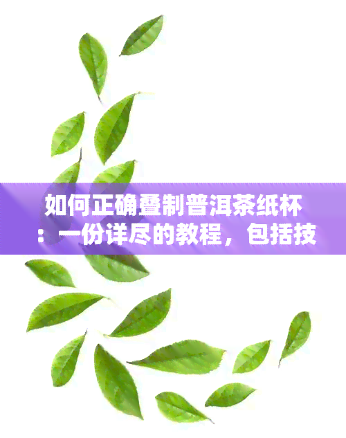 如何正确叠制普洱茶纸杯：一份详尽的教程，包括技巧和步骤