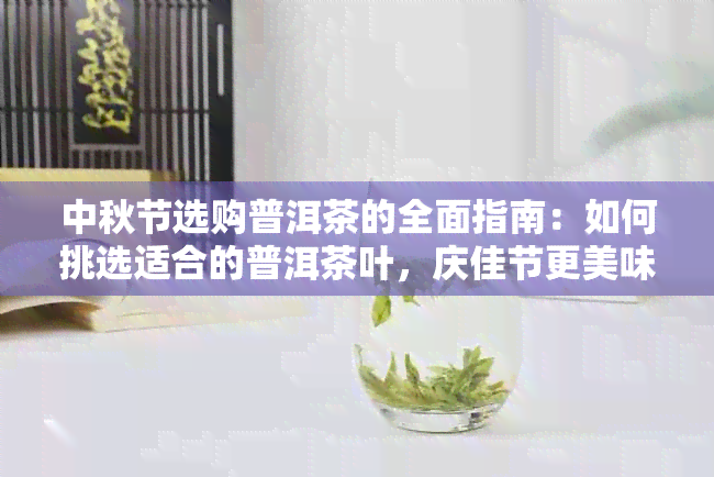 中秋节选购普洱茶的全面指南：如何挑选适合的普洱茶叶，庆佳节更美味